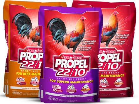 gamefowl maintenance feed mix|gamefowl conditioning feed mix.